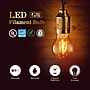 Viribright 5-Watt Soft White LED Decorative Bulb (450131)~#|#~sp317727316_sc7