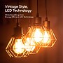 Viribright 5-Watt Soft White LED Decorative Bulb (450131)~#|#~sp317727317_sc7