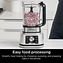 Ninja Foodi Power 17 oz. Blender and Processor System, Silver ( SS351)~#|#~sp317803494_sc7
