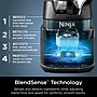 Ninja Detect Duo Power Pro 24 oz Blender, Black (TB301)~#|#~sp317803524_sc7
