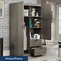 Sauder Select 71"H Storage Armoire, 2 Drawers, Silver Sycamore (426126)~#|#~sp317807135_sc7