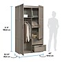 Sauder Select 71"H Storage Armoire, 2 Drawers, Silver Sycamore (426126)~#|#~sp317807137_sc7