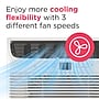 Frigidaire 115-Volt 12000 BTU Window Air Conditioner with Remote, White (FHWC123TC1)~#|#~sp318262413_sc7