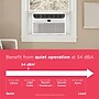 Frigidaire 115-Volt 8000 BTU Window Air Conditioner with Remote, White (FHWC083TC1)~#|#~sp318262517_sc7