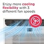 Frigidaire 115-Volt 6000 BTU Window Air Conditioner with Remote, White (FHWC063TC1)~#|#~sp318262565_sc7