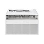 LG 115-Volt 10000 BTU Window Air Conditioner with Remote, White (LW1025R)~#|#~sp318262795_sc7