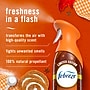 Febreze Air Mist Aerosol Air Freshener & Deodorizer, Pumpkin Roll Scent, 8.8 oz., 2/Pack (03206)~#|#~sp318482512_sc7