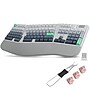 Delton KB450 Ergonomic Mechanical Keyboard, Multicolored (DKBE450MWRWH)~#|#~sp318931646_sc7