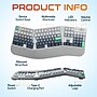 Delton KB450 Ergonomic Mechanical Keyboard, Multicolored (DKBE450MWRWH)~#|#~sp318931651_sc7