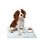 Medline Ultrasorbs Advanced SlipResist Disposable Heavy Absorbency Underpads, 30" x 36", 70/Carton (MSC383500)~#|#~sp319070777_sc7