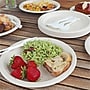 World Centric Compostable 9" Plates, Beige, 20 Plates/Pack (WORPLRTSCU9)~#|#~sp319250334_sc7