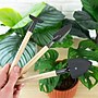 Plant Parent Kit~#|#~sp319460587_sc7