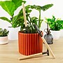 Plant Parent Kit~#|#~sp319460588_sc7