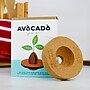 Avocado Grow Kit~#|#~sp319460638_sc7