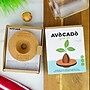 Avocado Grow Kit~#|#~sp319460641_sc7