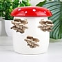Mushroom Grow Kit~#|#~sp319460669_sc7
