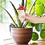 Self-Watering Mushroom Planter Water Dispenser~#|#~sp319460686_sc7