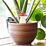 Self-Watering Mushroom Planter Water Dispenser~#|#~sp319460687_sc7