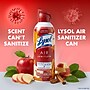 Lysol Air Sanitizer Aerosol, Apple Cinnamon Scent, 10 oz. (19200-95879)~#|#~sp320332116_sc7