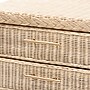 bali & pari Lanica 24" H Sun Bleached Rattan Nightstand, Pale Brown (248-13728-HiT)~#|#~sp320332154_sc7