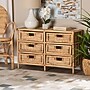 bali & pari Dariana 22.4" H Natural Rattan Storage Cabinet, Natural (207-12688-HiT)~#|#~sp320332297_sc7