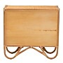bali & pari Baylor 31.9" H Natural Rattan Storage Cabinet, Light Honey (250-13702-HiT)~#|#~sp320332313_sc7