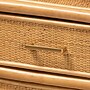 bali & pari Mairen 59.8" H Natural Rattan Storage Cabinet, Light Honey (262-14417-HiT)~#|#~sp320332383_sc7