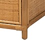 bali & pari Mairen 59.8" H Natural Rattan Storage Cabinet, Light Honey (262-14417-HiT)~#|#~sp320332385_sc7