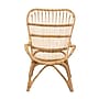 bali & pari Earvin Natural Rattan Armchair, Natural (224-12707-HiT)~#|#~sp320555751_sc7
