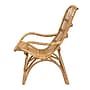 bali & pari Earvin Natural Rattan Armchair, Natural (224-12707-HiT)~#|#~sp320555752_sc7