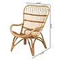 bali & pari Earvin Natural Rattan Armchair, Natural (224-12707-HiT)~#|#~sp320555758_sc7
