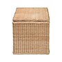 bali & pari Caden Natural Rattan Storage Ottoman, Natural Rattan (259-14271-HiT)~#|#~sp320556593_sc7