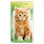 2027-2028 BrownTrout Kitten Cuddles 3.5" x 6.5" Monthly Planner (9798330710225)~#|#~sp320815729_sc7