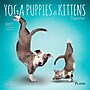 2027 BrownTrout Yoga Puppies & Kittens Together 7" x 7" Monthly Wall Calendar (9798330713561)~#|#~sp320815780_sc7