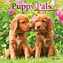 2027 BrownTrout Puppy Pals 7" x 7" Monthly Wall Calendar (9798330713820)~#|#~sp320815801_sc7