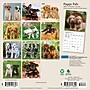 2027 BrownTrout Puppy Pals 7" x 7" Monthly Wall Calendar (9798330713820)~#|#~sp320815802_sc7