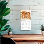 2027 BrownTrout Puppy Pals 7" x 7" Monthly Wall Calendar (9798330713820)~#|#~sp320815805_sc7