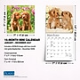 2027 BrownTrout Puppy Pals 7" x 7" Monthly Wall Calendar (9798330713820)~#|#~sp320815807_sc7
