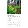 2027 BrownTrout National Parks 7" x 7" Monthly Wall Calendar (9798330713790)~#|#~sp320815813_sc7