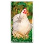 2027-2028 BrownTrout Chickens 3.5" x 6.5" Monthly Planner (9798330710249)~#|#~sp320815851_sc7