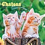 2027 BrownTrout Chatons 12" x 12" Monthly Wall Calendar (9798330715046)~#|#~sp320815893_sc7