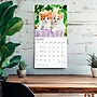 2027 BrownTrout Chatons 12" x 12" Monthly Wall Calendar (9798330715046)~#|#~sp320815897_sc7