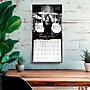 2027 BrownTrout Ozzy Osbourne 12" x 12" Monthly Wall Calendar (9798330716104)~#|#~sp320815918_sc7