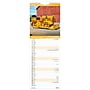 2027 BrownTrout Tractors 5.7" x 16.5" Monthly Slimline Wall Calendar (9798330710270)~#|#~sp320815926_sc7