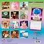 2027 BrownTrout Avanti Chatons Grognons 12" x 12" Monthly Wall Calendar (9798330714995)~#|#~sp320815945_sc7