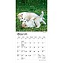 2027 BrownTrout Siberian Husky Puppies 7" x 7" Monthly Wall Calendar (9798330710096)~#|#~sp320815956_sc7