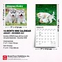 2027 BrownTrout Siberian Husky Puppies 7" x 7" Monthly Wall Calendar (9798330710096)~#|#~sp320815960_sc7
