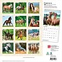 2027 BrownTrout Chevaux 12" x 12" Monthly Wall Calendar (9798330715077)~#|#~sp320815980_sc7