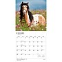 2027 BrownTrout Chevaux 12" x 12" Monthly Wall Calendar (9798330715077)~#|#~sp320815981_sc7