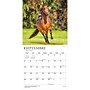 2027 BrownTrout Chevaux 12" x 12" Monthly Wall Calendar (9798330715077)~#|#~sp320815982_sc7